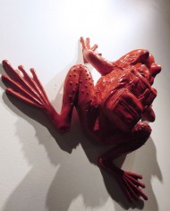 red frog on wall