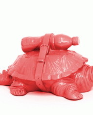 Cloned-Pink-Turtle