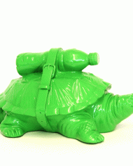 Cloned-green-turtle-with-pet-bottle-(1)-(1)
