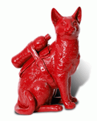 Cloned-red-cat-with-pet-bottle-(1)