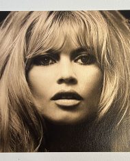 Brigitte Bardot Mexico Hair Metallic_1